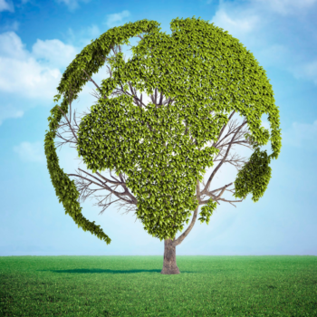 assurance vie ISR et écologique