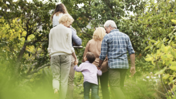 dévolution successorale