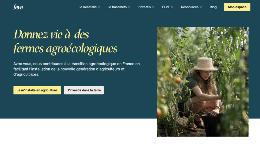 Page accueil du site web Feve 