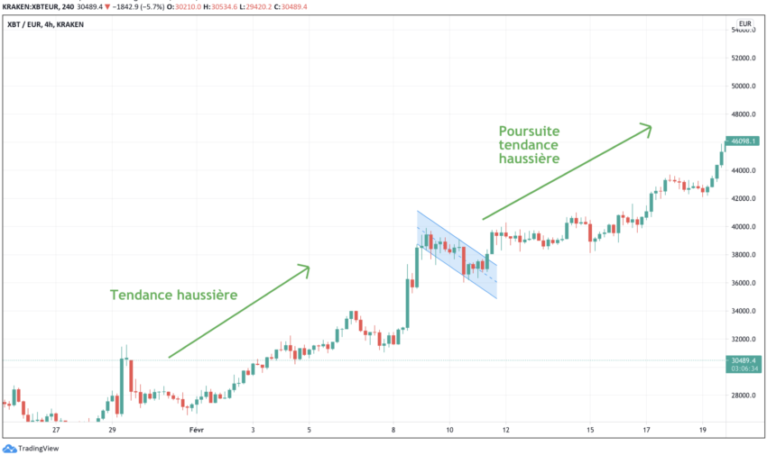 Figures chartistes : le drapeau