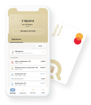 Service Noelse Pro Eco