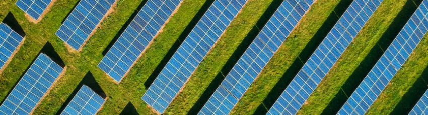 Meilleur placement écoresponsable