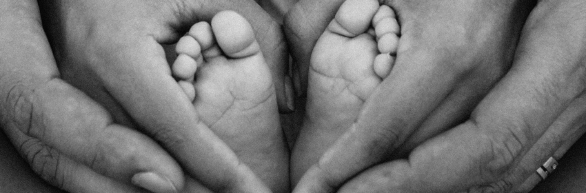 Quel placement choisir pour résuire la succession ?