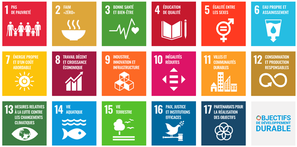 Les 17 objectifs de développement durable de l'ONU